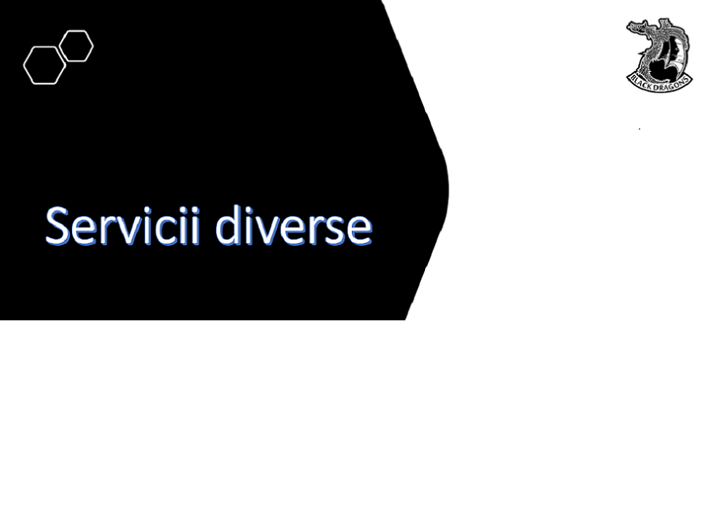 Servicii diverse